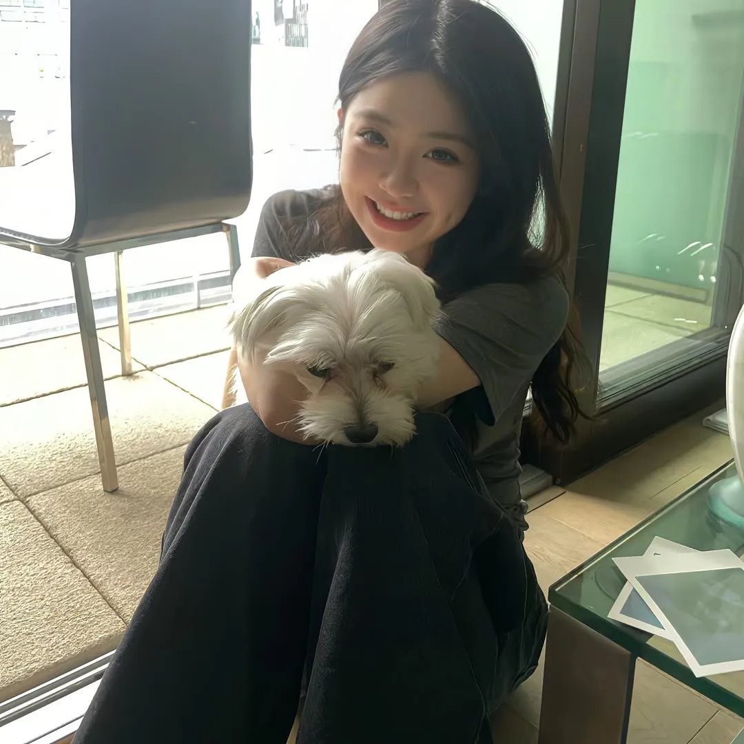 狗狗与我的十个约定
