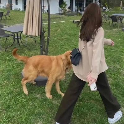恋上女镖师